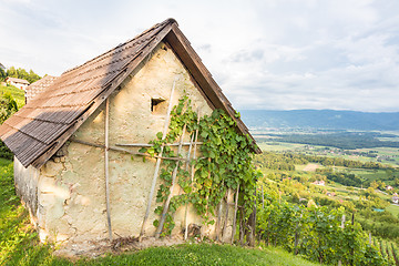 Image showing Vineyard cottage.