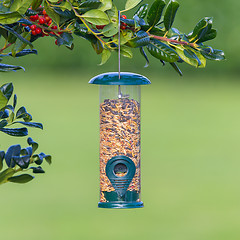 Image showing Bird feeder full of seeds