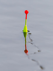 Image showing Fishing float floating