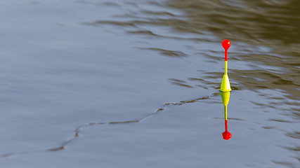 Image showing Fishing float floating