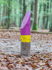 Image showing Painted marking in a dutch forrest