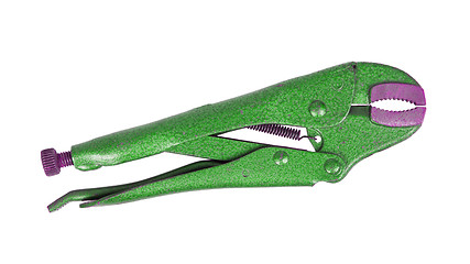 Image showing Green stainless steel jaw locking pliers