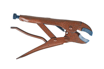 Image showing Brown stainless steel jaw locking pliers