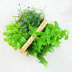 Image showing Fresh mint and lavender in a basket
