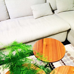 Image showing White sofa, coffee table and green plant