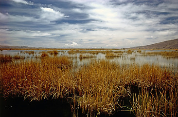 Image showing Lake Titicaca