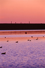 Image showing Riding by lake