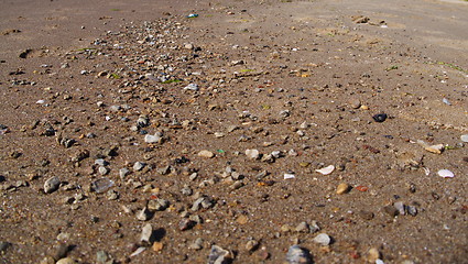 Image showing Baltic Beach sand close up