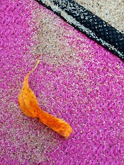 Image showing Background with leaf and beach sand