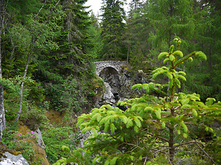 Image showing River deep in mountain forest.