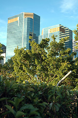 Image showing skyscrapers in jungle