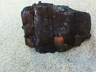 Image showing Burned Log on Sand Beach