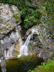 Image showing River deep in mountain forest.