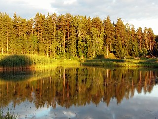 Image showing Idyllic forest by the lake in autumn