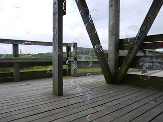 Image showing soap bubbles