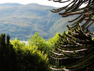 Image showing Scottish Highlands