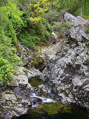 Image showing River deep in mountain forest.