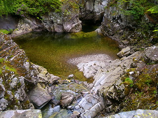 Image showing River deep in mountain forest.