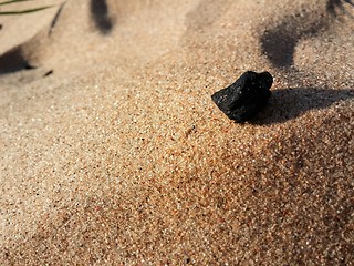 Image showing Burned Log on Sand Beach