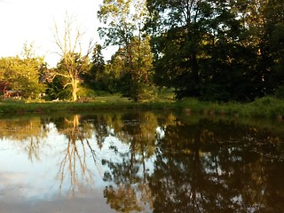 Image showing Idyllic forest by the lake in autumn