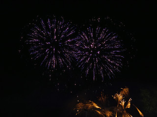 Image showing  Firework any festival in the world