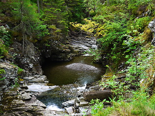 Image showing River deep in mountain forest.