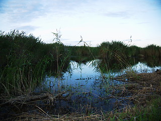 Image showing spring beautiful sunset landscape