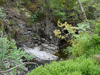 Image showing River deep in mountain forest.