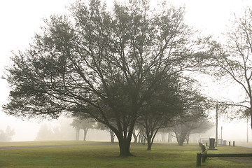 Image showing Misty Morn