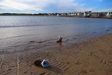 Image showing Bay in the Scotland, empty beach