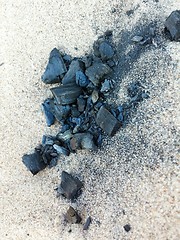 Image showing Burned Log on Sand Beach.