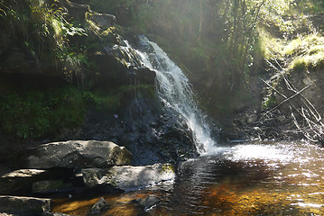 Image showing river in the forest , waterfall