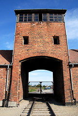 Image showing Last View of Freedom - Auschwitz II (Birkenau)