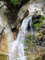 Image showing River deep in mountain forest.