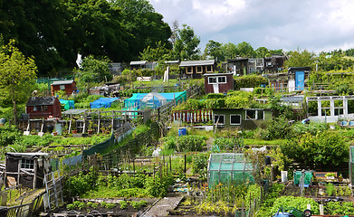 Image showing Farm in Edinburgh