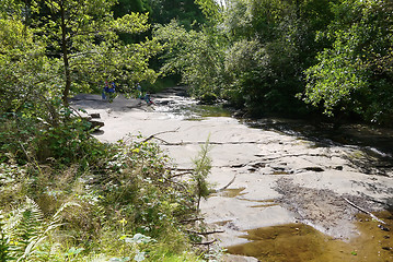 Image showing river in the forest with bridge