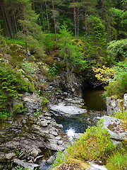 Image showing River deep in mountain forest.