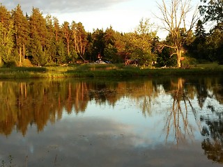 Image showing Idyllic forest by the lake in autumn