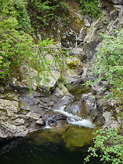 Image showing River deep in mountain forest.