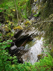 Image showing River deep in mountain forest.