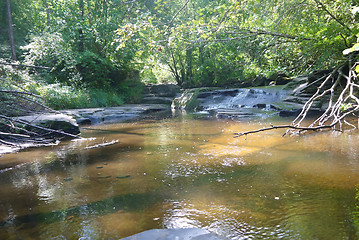 Image showing river in the forest