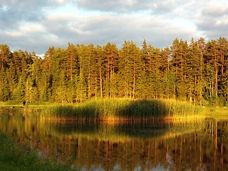 Image showing Idyllic forest by the lake in autumn