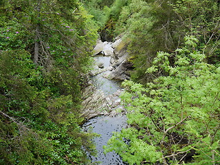 Image showing River deep in mountain forest.