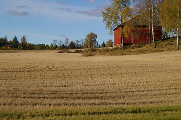 Image showing Grain field