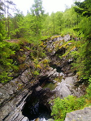 Image showing River deep in mountain forest.