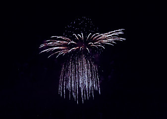 Image showing  Firework any festival in the world