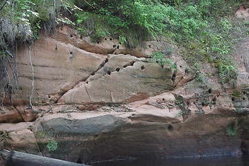 Image showing Birds nest in mountains