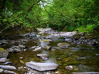 Image showing River deep in mountain forest.