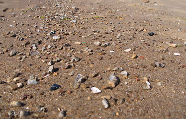 Image showing Baltic Beach sand close up