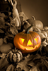 Image showing halloween